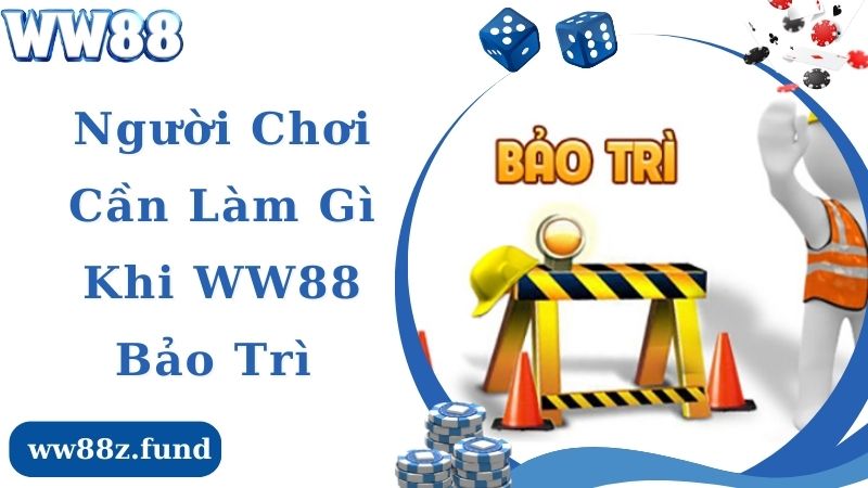 Giải pháp mà người chơi cần thực hiện khi WW88 bảo trì