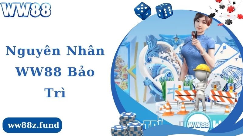 Nguyên nhân nhà cái WW88 thực hiện bảo trì