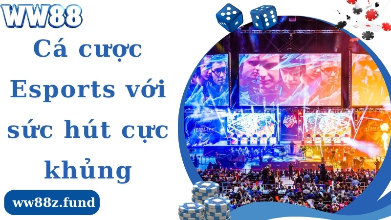 Trò chơi cá cược esports League of Legends 